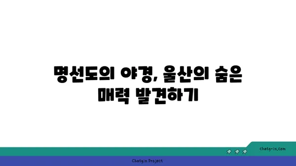 명선도에서 울산의 야경 감상하기