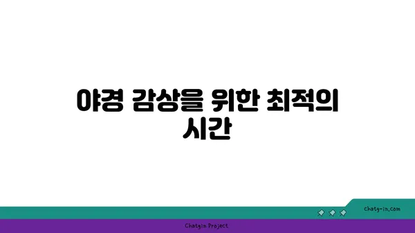 안동 월영교에서 야경 감상하기