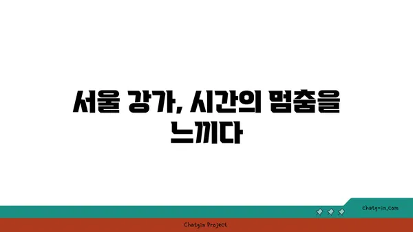 서울 강가의 사진 작품 같은 야경
