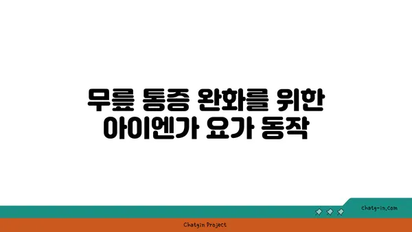무릎 재활을 위한 아이엔가 요가 도구 사용법