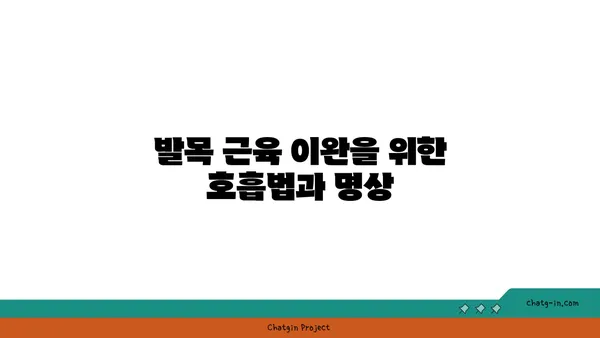 발목 근육 긴장을 완화하는 아이엔가 요가 루틴