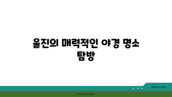 별빛 반짝이는 하늘과 울진의 멋진 야경