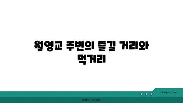 안동 월영교: 야경이 환한 안동의 상징