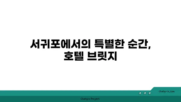 자쿠지와 합리적인 가성비로 마음을 사로잡는 호텔 브릿지 서귀포