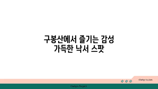 구봉산에서 낙서의 아름다움과 야경을 만끽하기