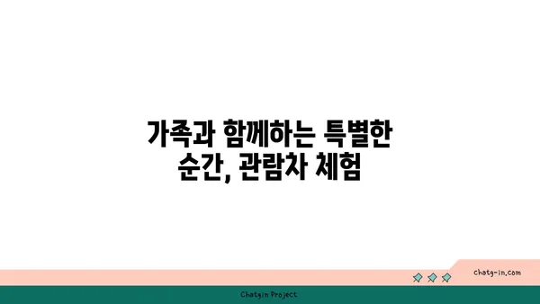 삽교호 놀이동산 관람차: 일몰과 야경을 모두 만끽하는 당진 명소