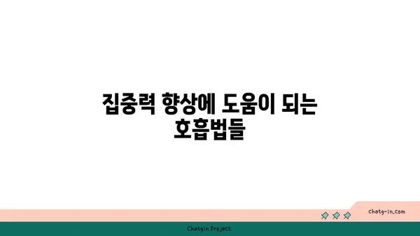 요가의 호흡법으로 내면의 집중력 높이기