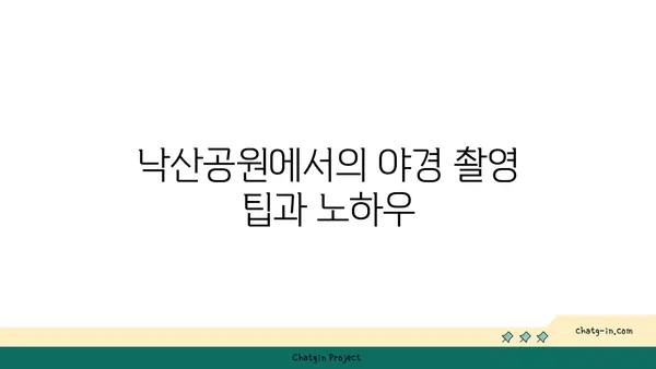 낙산공원에서 서울의 야경을 한눈에 감상하기
