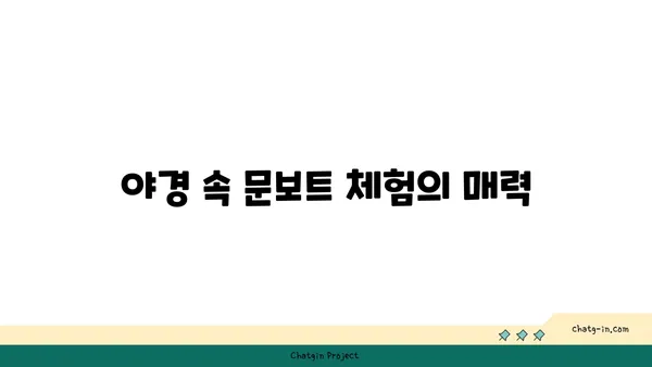 석촌호수 루미나리에에서 보는 야경과 문보트 체험