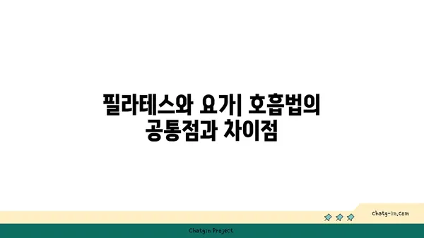 요가의 종류별 호흡법 차이점 이해하기