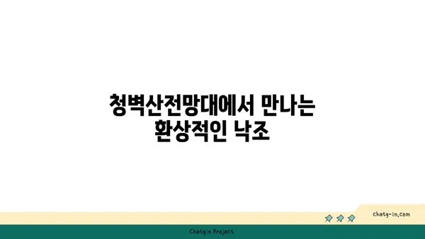 노을명소 청벽산전망대: 공주에서 만나는 낙조와 야경의 매력