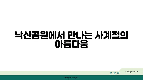 낙산공원: 종로에서 감상하는 매혹적인 야경과 산책로
