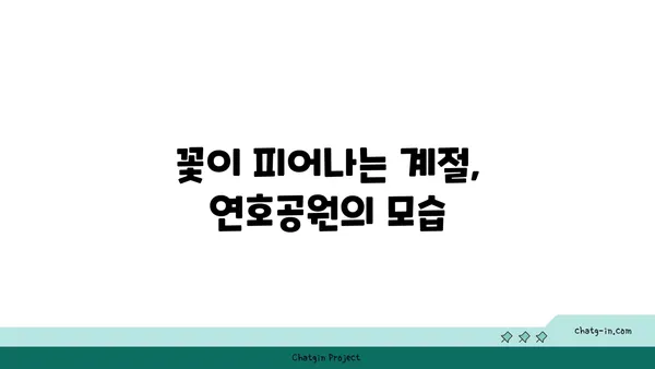 연호공원: 야경 산책을 위한 꽃과 전망
