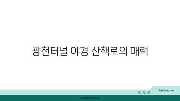 광주에서 야경을 감상할 수 있는 추천 장소