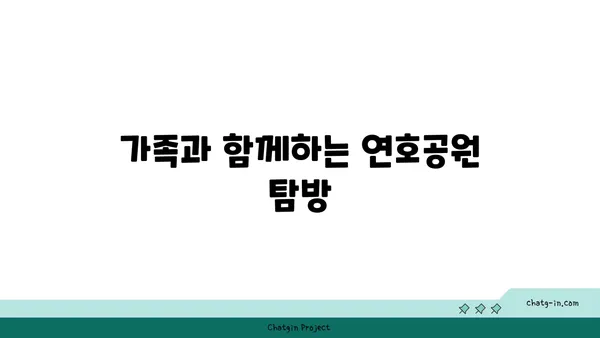 연호공원: 야경 산책과 절경 전망을 위한 멋진 장소
