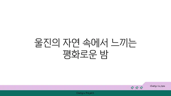별빛 반짝이는 하늘과 울진의 멋진 야경