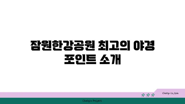 잠원한강공원 야경 즐기는 편의점 라면 텐트
