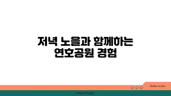 연호공원: 꽃과 야경으로 물든 밤 산책