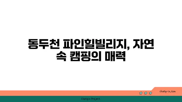 동두천 파인힐빌리지에서 편안한 캠핑과 야경을 즐기는 시간