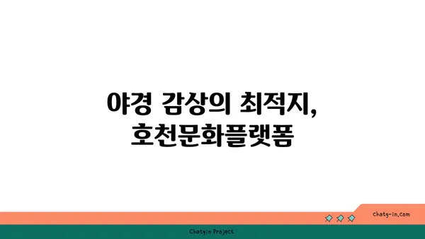 호천문화플랫폼에서 드라이브하며 감상하는 찬란한 야경