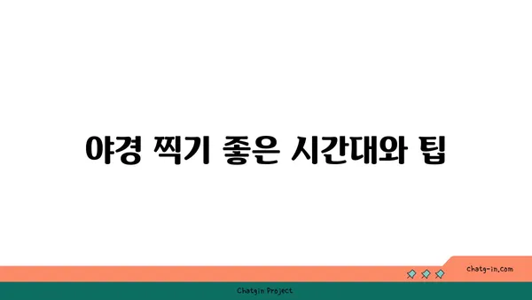 리버레인에서 춘천의 야경 감상하기