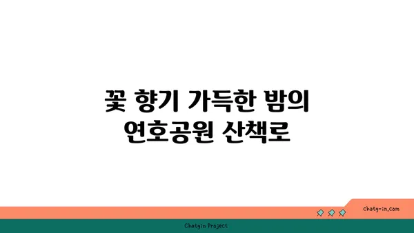연호공원: 꽃과 야경으로 물든 밤 산책