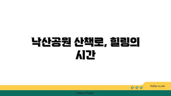 낙산공원: 종로에서 감상하는 매혹적인 야경과 산책로