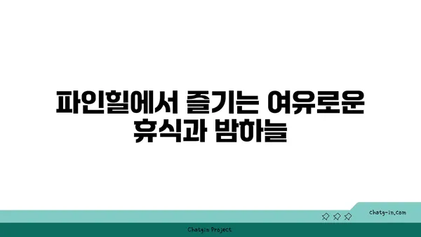 동두천 파인힐빌리지에서 편안한 캠핑과 야경을 즐기는 시간