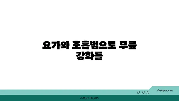 무릎 통증 예방을 위한 요가 명상법 가이드