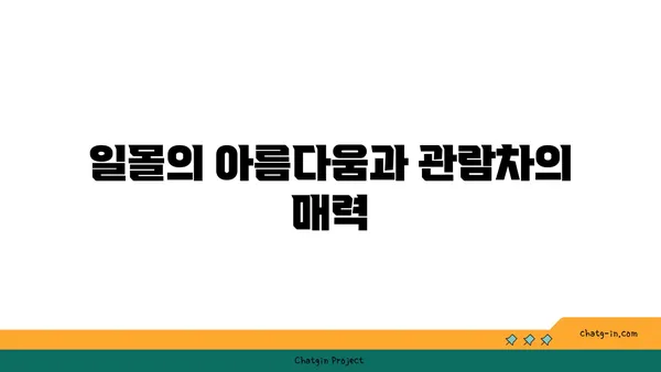 삽교호 놀이동산: 일몰과 야경이 조화를 이루는 관람차