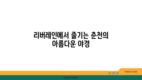 리버레인에서 춘천의 야경 감상하기