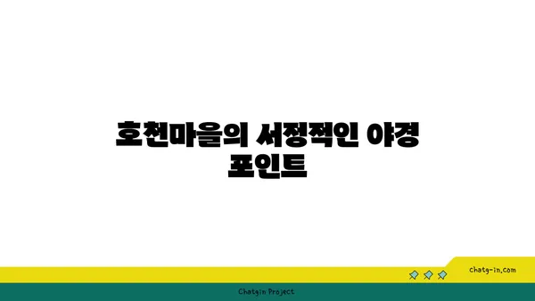 호천마을에서 경험하는 부산의 드라이브 야경