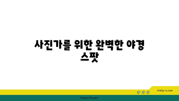 낙산공원: 종로에서 감상하는 매혹적인 야경과 산책로