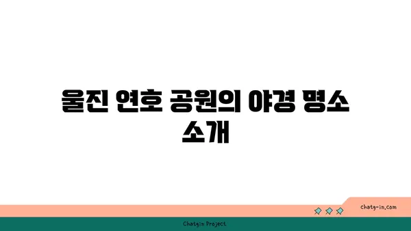 울진 연호 공원: 야경 산책로와 자연의 아름다움