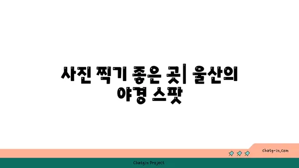 명선도에서 울산의 야경 감상하기