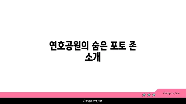 연호공원: 야경 산책을 위한 꽃과 전망