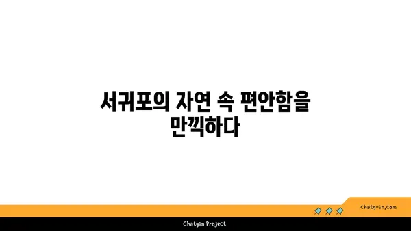 자연과 어우러진 서귀포 독채 펜션 자인빌리지