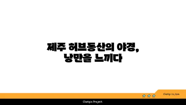 제주 허브동산의 숨 막히는 야경과 족욕 체험