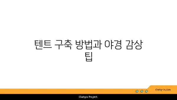 잠원한강공원 야경 즐기는 편의점 라면 텐트