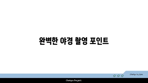 안동 월영교에서 야경 감상하기