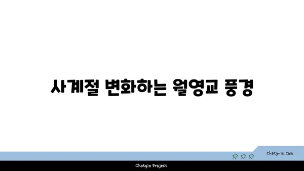 안동의 야경 명소, 월영교