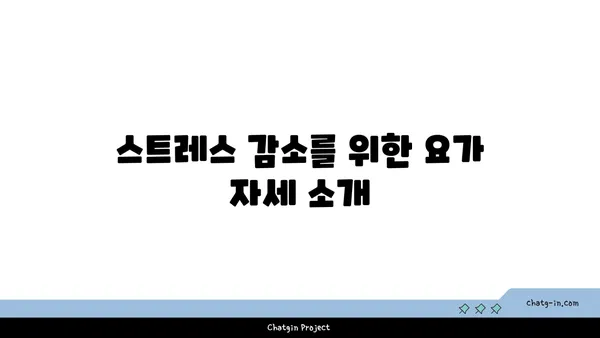 20대의 정신적 안정감을 위한 요가