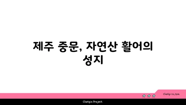제주 중문 큰갯물횟집에서 자연산 활어의 맛을 만끽하세요