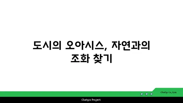 도시의 불빛 가운데 떠 있는 오아시스