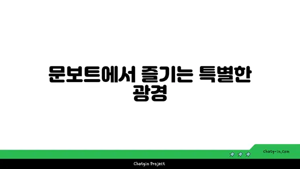 루미나리에 롯데월드어드벤처 문보트: 석촌호수의 야경 광경