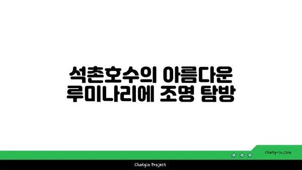 석촌호수 루미나리에에서 보는 야경과 문보트 체험