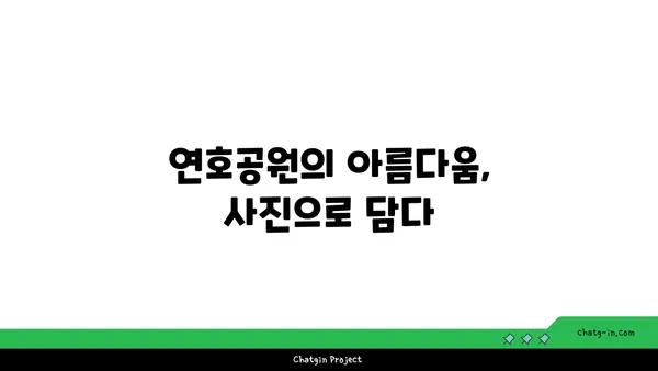 연호공원: 꽃과 야경으로 물든 밤 산책