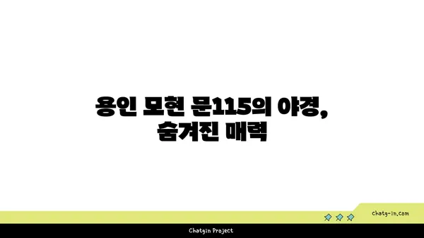 용인 모현 문115의 아름다운 야경과 카페
