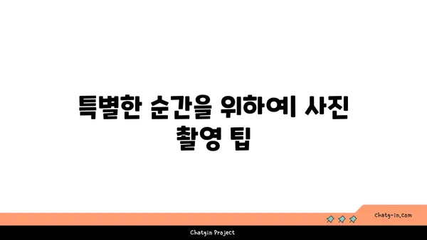 루미나리에 석촌호수: 야경에 반짝이는 움직이는 조명 설치물