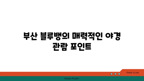 부산 블루뱅: 황령산전망대 야경 맛집